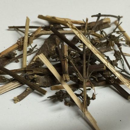 Indian Wormwood - Mugwort - Nagadona - Afsanteen - Artemisia vulgaris