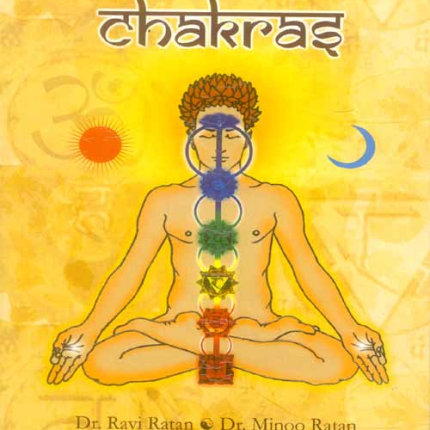Journey Through Chakras - Chakra Book