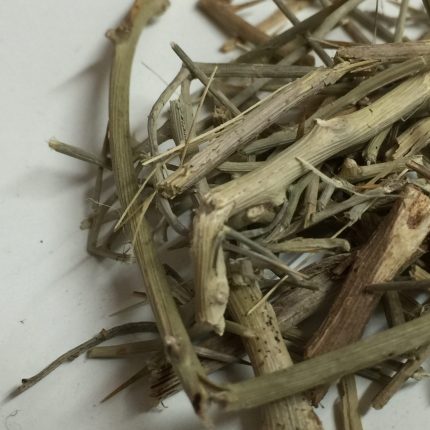 Dhamasa Herb - Fagonia Schweifurthii Hadidi (Arabica) indica