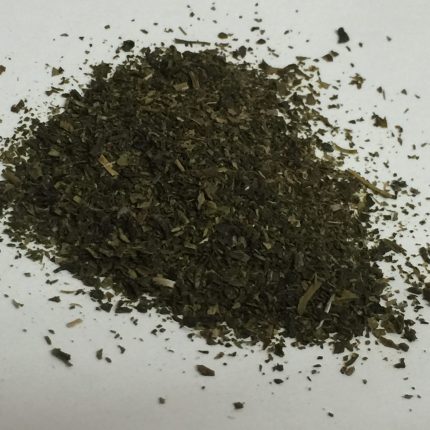 Green Leaf Tea - Camellia sinensis (Ooty)