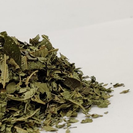Lemon verbana Leaf Teacut - Lippia citriodora