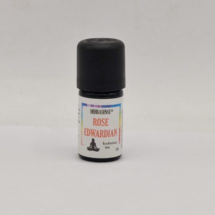 Rose Bourbon Absolute Oil - Rosa Edouard - Rose Edward