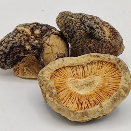 Shiitake Mushrooms Dried - (Lentinula edodes)