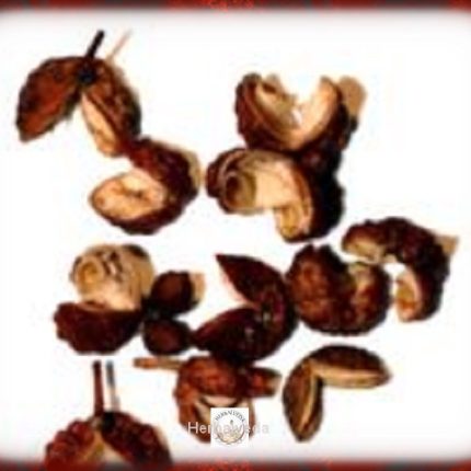 Tomar Seeds, Tumru, Szechuan or Szechuan Pepper - Xanthoxylum armatum (Nepal)