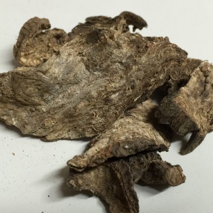 Vidharamool Powder - Argyreia speciosa Powder - Elephant Creeper