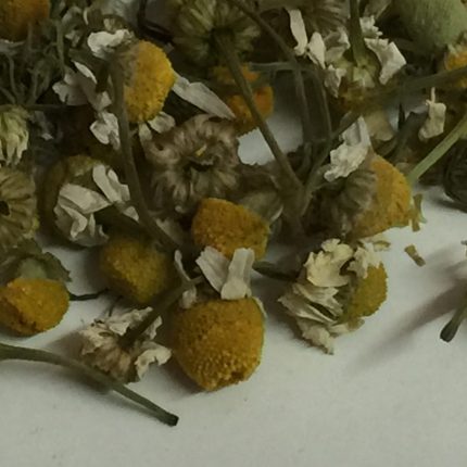 Chamomile Flowers Dried - Matricaria recutita