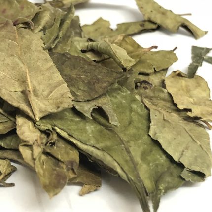 Curry Leaves - Murraya koenigii leaves