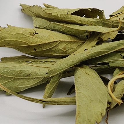 Herbasense Organic Stevia Leaves - Stevia rebaudiana