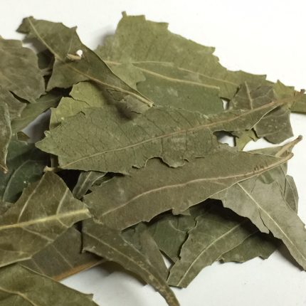 Organic Neem Leaves (dried) - Azadirachta indica