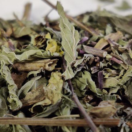 INDIAN PEPPERMINT LEAVES – MINT – DESI PUDINA LEAVES