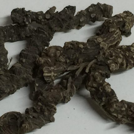 Indian Valerian, Tagar or Sugandhabala Root - Valeriana Wallichi Root