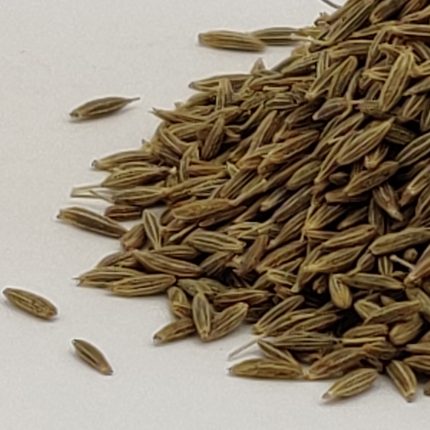 Cumin Seeds - Cuminum Cyminum - Jeera, Jiraka, Zeera
