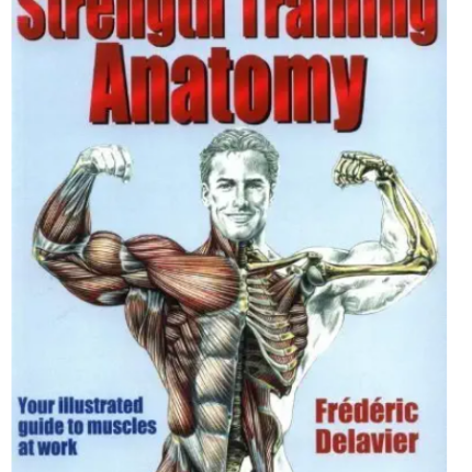 Strength Training Anatomy