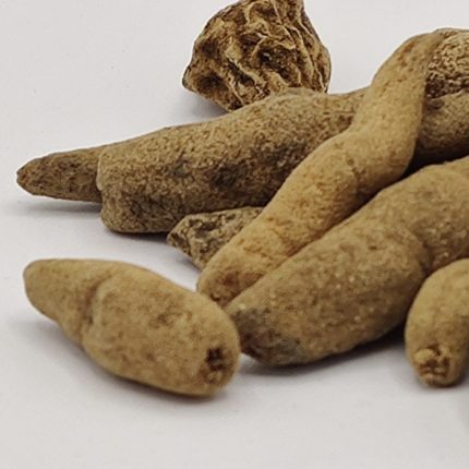 Ridhi Vridhi Root - Habenaria intermedia - (Astavarga Herb)