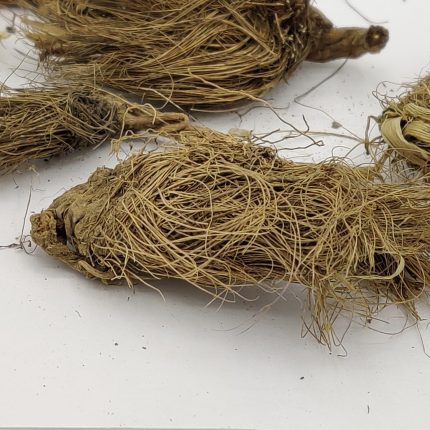 Bhootkeshi - Bhutakeshi - Selinum vaginatum - Beg karfas