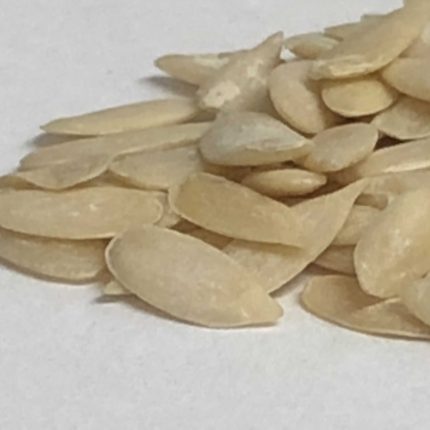 Cucumber Seed Kernels, Kheera beej - Cucumis sativus, Khira Magaz