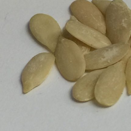 Muskmelon Seed Kernels - Cantaloupe, Kharbooja beej - Cucumis melo - Magaz