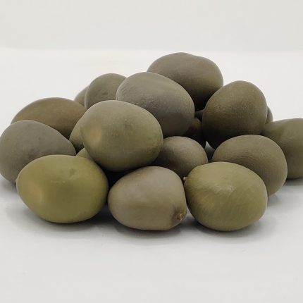Latakaranja Seeds - Caesalpinia bonducella - Bonduc Fruit, Fever Nut - Karanj