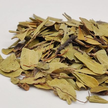 Uva Ursi Leaf Tea - Bear Berry Leaves - Uva-ursi procumbens