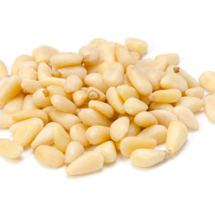 Himalayan Pine Nut Kernels (Premium) - Chilgoze - Neje